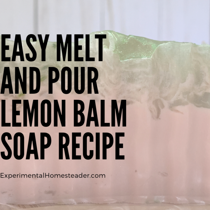 The sliced lemon balm soap ready to use.