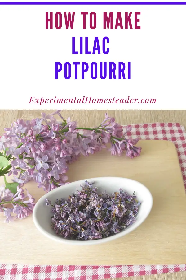 Fresh lilac flowers and a bowl of dried lilac flowers.