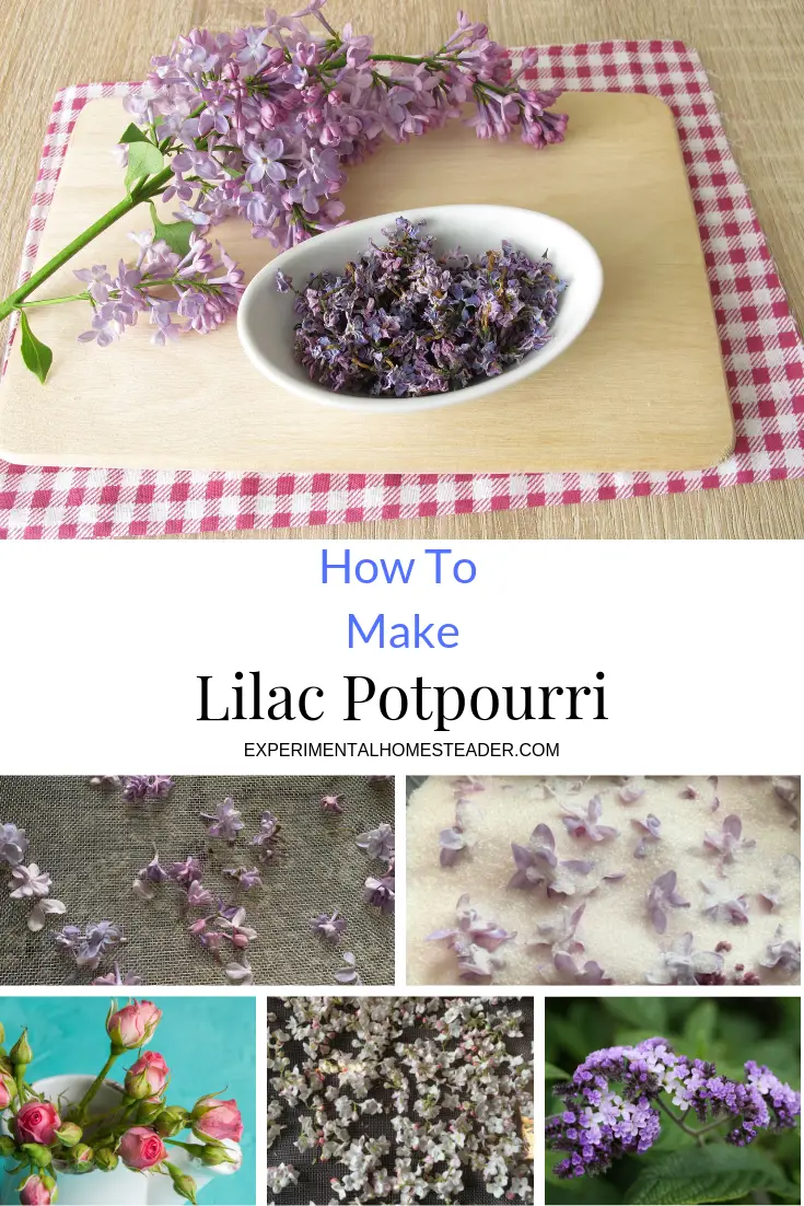 Dried lilac flowers in the top photo. Other flowers used in the potpourri in the bottom photos.