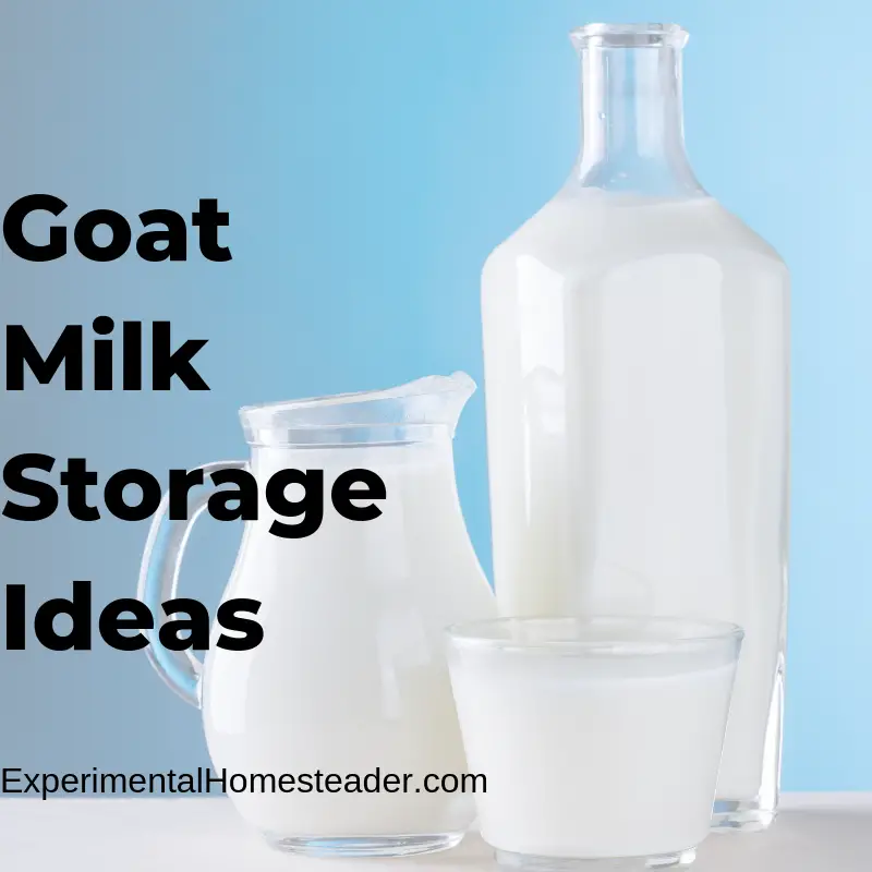 Fresh goat milk in a variety of glass containers.