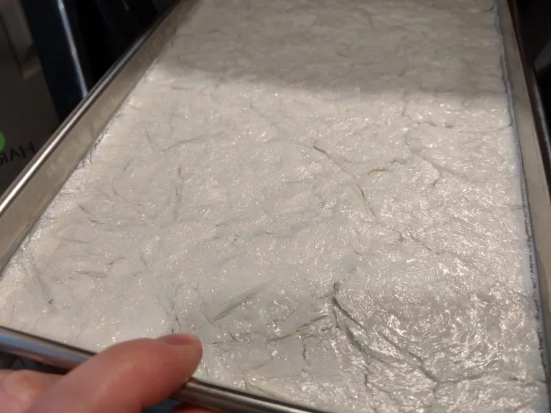 The freeze dried milk on a freeze dryer tray.