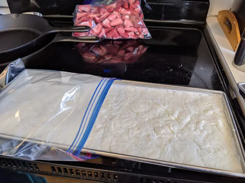 The freeze dryer tray sitting in a freezer bag.