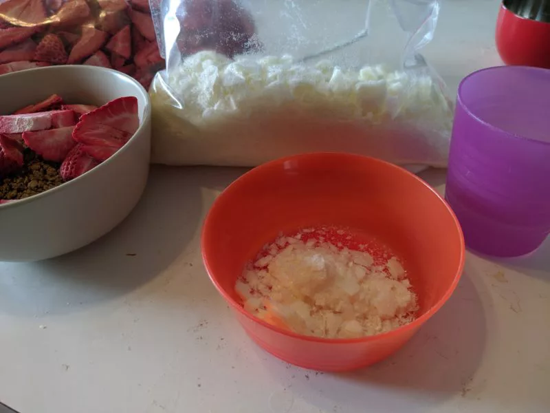 The freeze dried milk in a bowl.