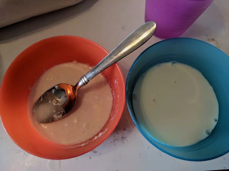 Freeze dried milk in the orange bowl and regular milk in the blue bowl.
