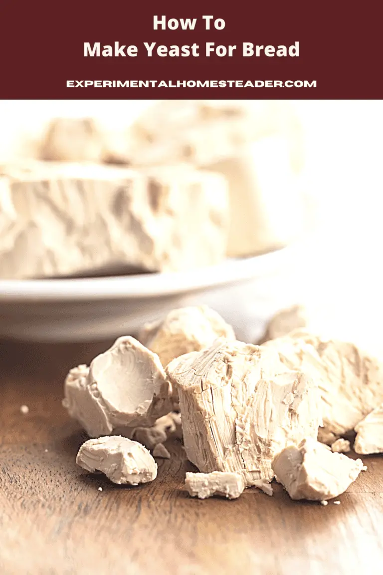 How To Make Yeast For Bread Experimental Homesteader