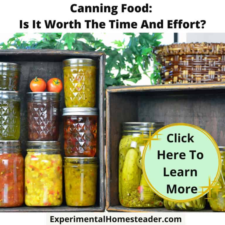 Canning food jars with homemade preserves and pickles for sustainable food storage and homesteading.