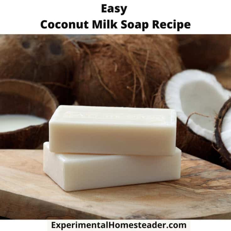 Easy Coconut Milk Soap Recipe Experimental Homesteader