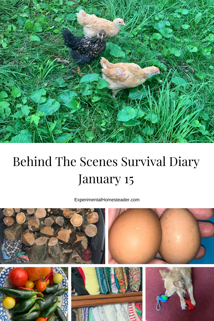 Chicks, wood, eggs, vegetables, fabric organized and our dog - all things we talk about in today's survival diary.