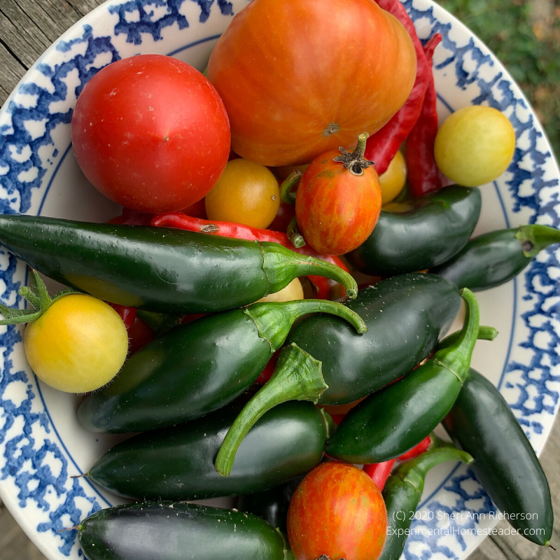 Tomatoes and peppers from our garden.