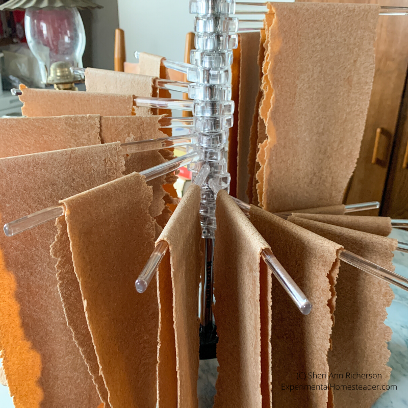 Fresh whole wheat noodles hanging on a noodle drying rack.