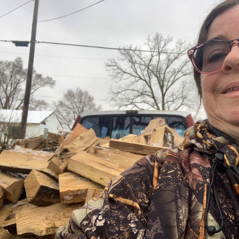 Sitting in the bed of the truck filled with wood.