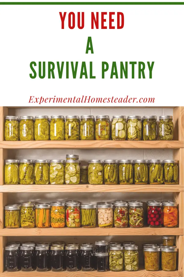 Learn What A Survival Pantry Is And Why You Need One Experimental