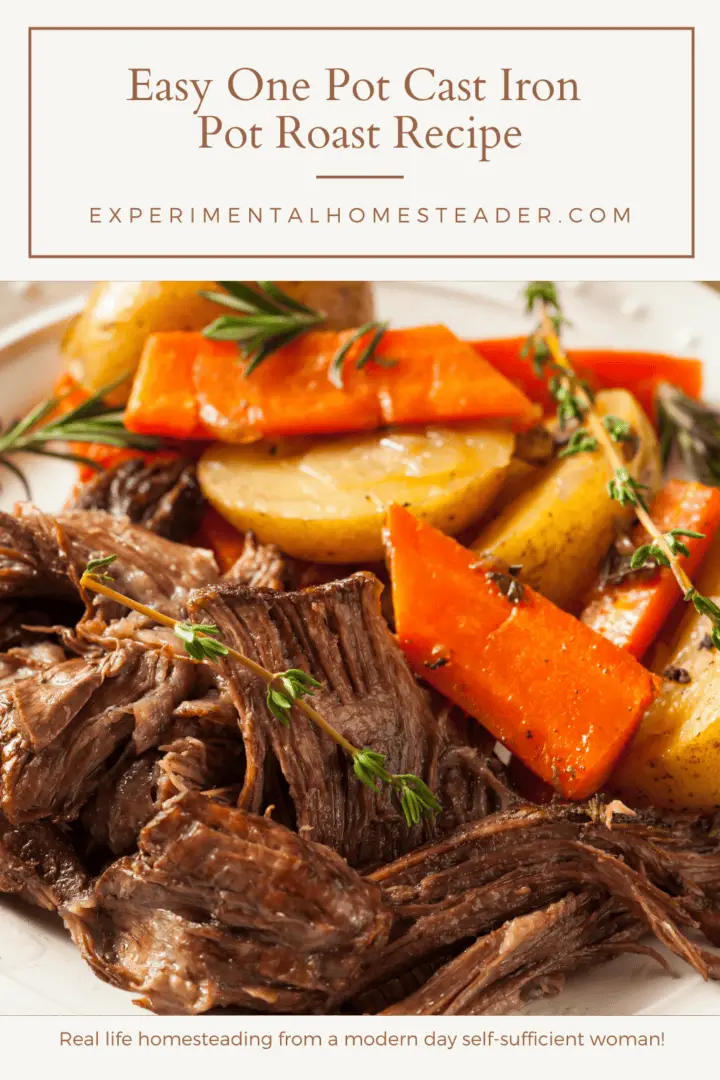 Easy One Pot Cast Iron Pot Roast Recipe Experimental Homesteader