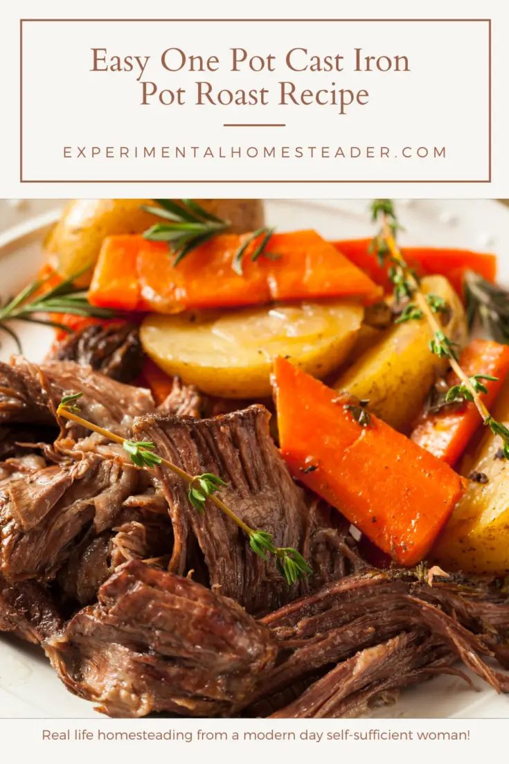 Easy One Pot Cast Iron Pot Roast Recipe - Experimental Homesteader