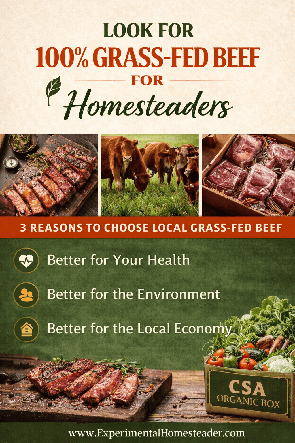 100 percent grass-fed beef guide for homesteaders showing cattle grazing on pasture, packaged local beef, and cooked grass-fed steaks with tips on choosing local farms.