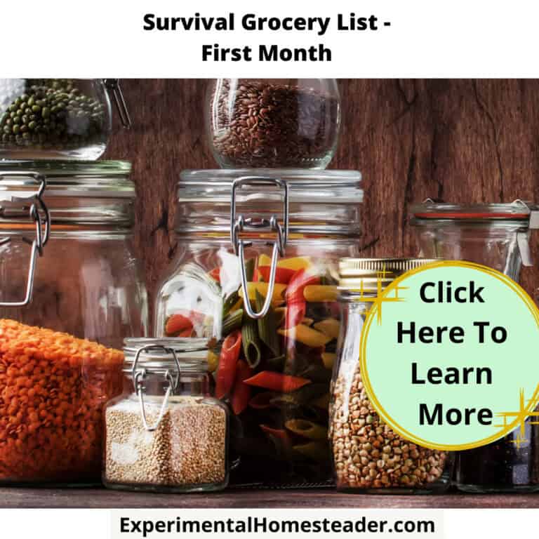 Diverse glass jars with bulk grains, pasta, and seeds on rustic wooden surface, ideal for homesteading storage.