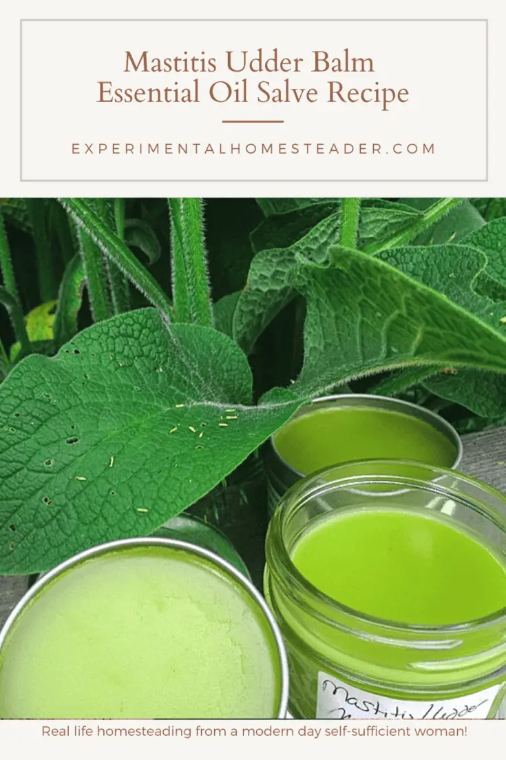 Mastitis Udder Balm Essential Oil Salve Recipe Experimental Homesteader