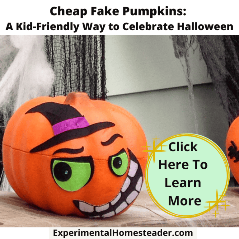 Pumpkin decorated as a cartoon witch for Halloween, homemade fall craft idea.