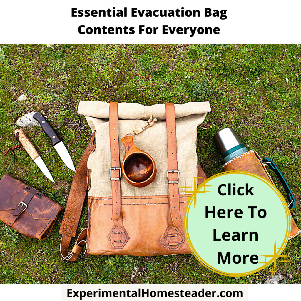 What Goes Into Your Emergency Evacuation Bag Experimental Homesteader What Goes Into Your Emergency Evacuation Bag Experimental Homesteader