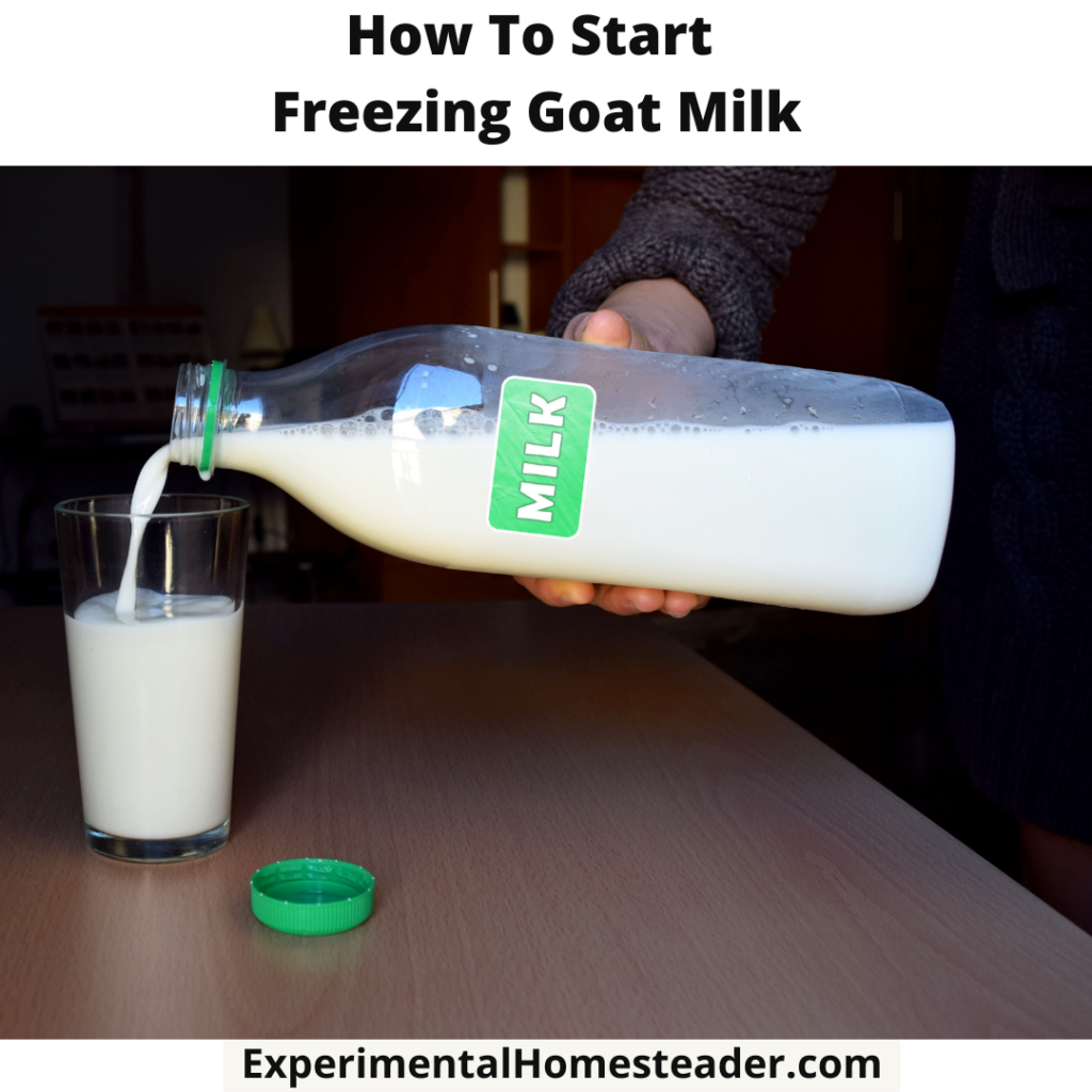 How To Start Freezing Goat Milk - Experimental Homesteader