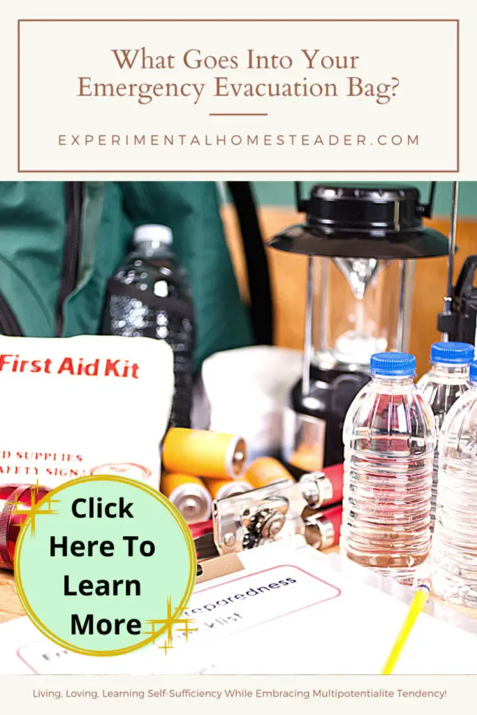 What Goes Into Your Emergency Evacuation Bag? - Experimental Homesteader