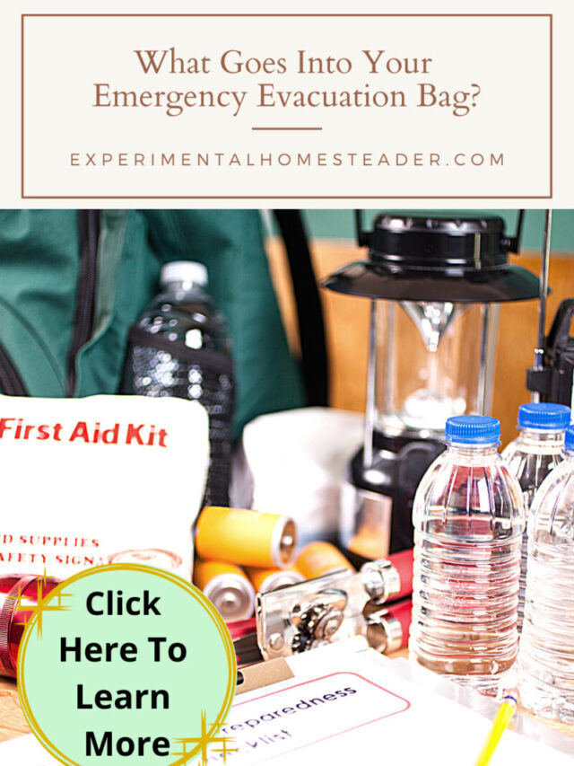 What Goes Into Your Emergency Evacuation Bag Story