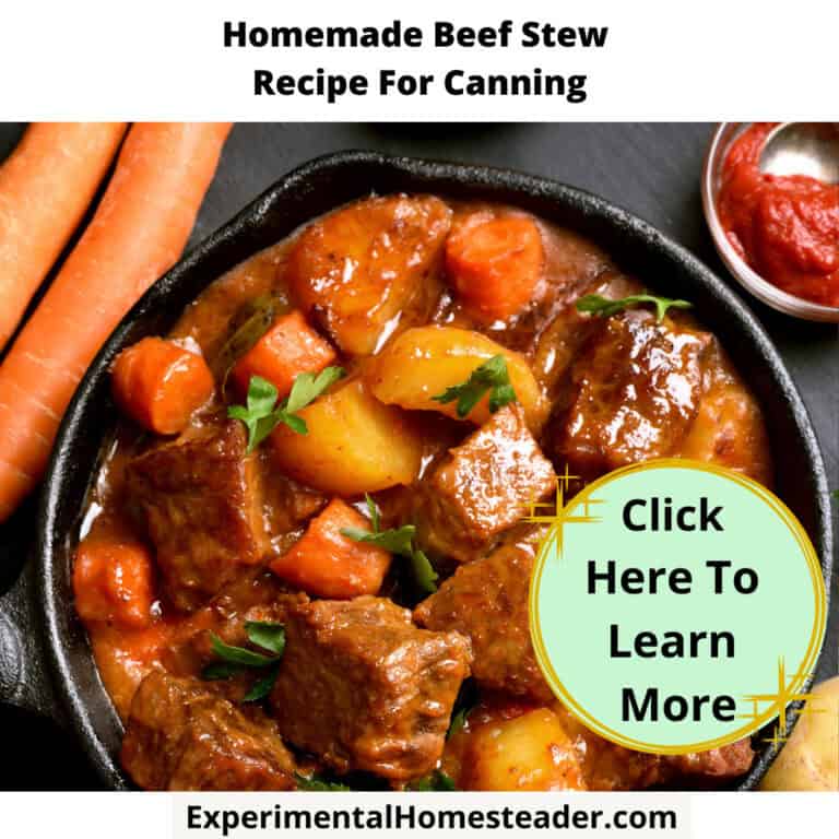 Homemade beef stew in cast iron skillet with carrots and potatoes, delicious comfort food recipe.