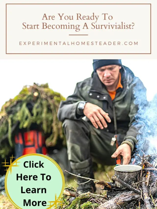 Are You Ready To Start Becoming A Survivalist Story