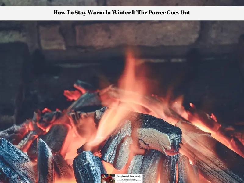 A wood burner or fireplace is a great way to stay warm in the winter and have a way to prepare food when the power goes out.