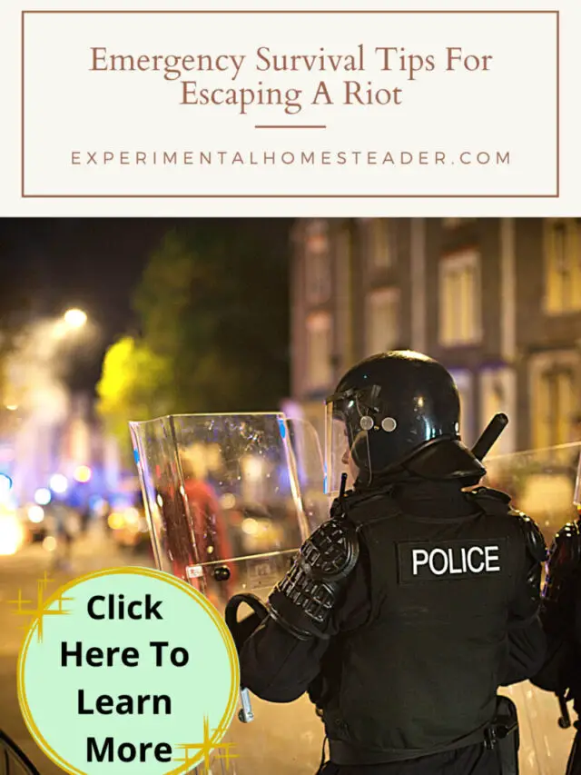 Emergency Tips For Escaping A Riot Story
