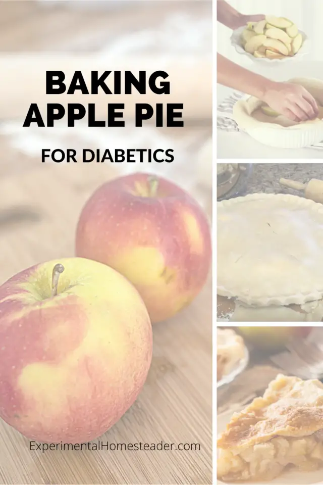 apple-pie-for-diabetics-experimental-homesteader