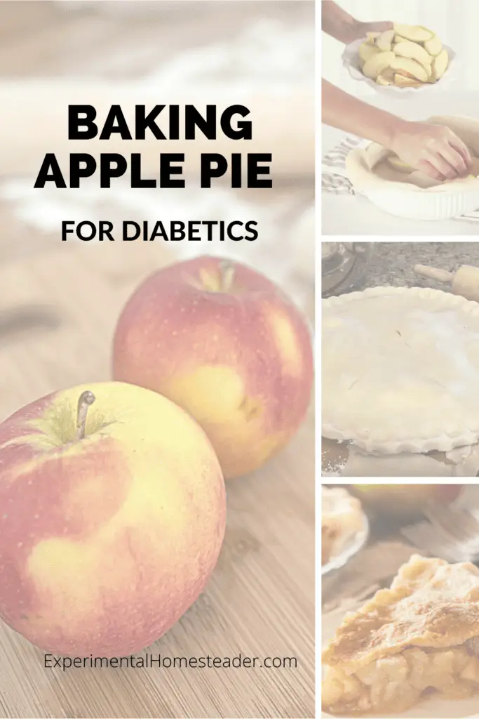 Apple Pie For Diabetics Experimental Homesteader