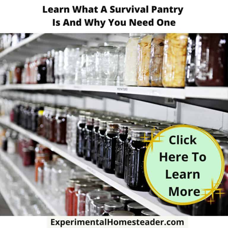 Preserved food jars on pantry shelves for survival food storage and prepping.