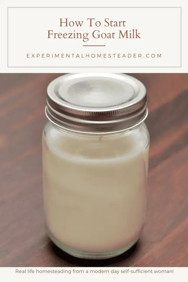 How To Start Freezing Goat Milk Experimental Homesteader
