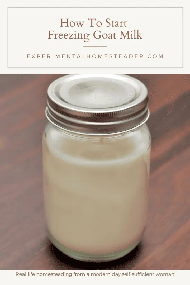 How To Start Freezing Goat Milk Experimental Homesteader