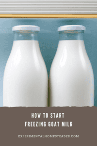 How To Start Freezing Goat Milk - Experimental Homesteader