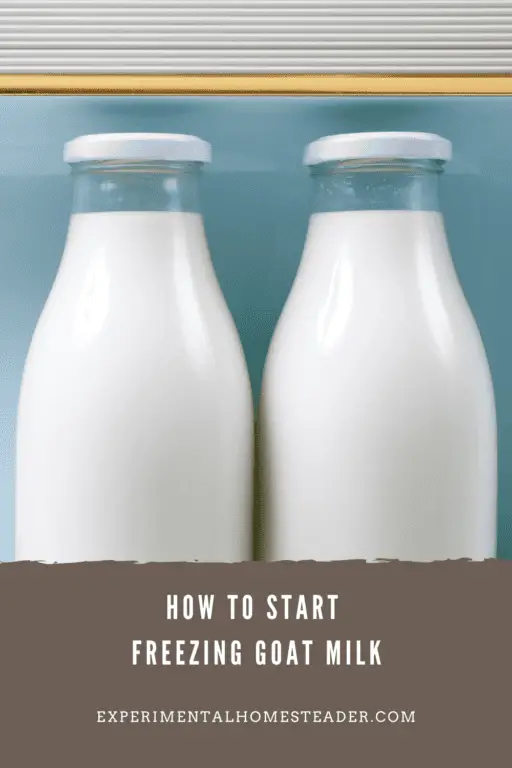 How To Start Freezing Goat Milk Experimental Homesteader