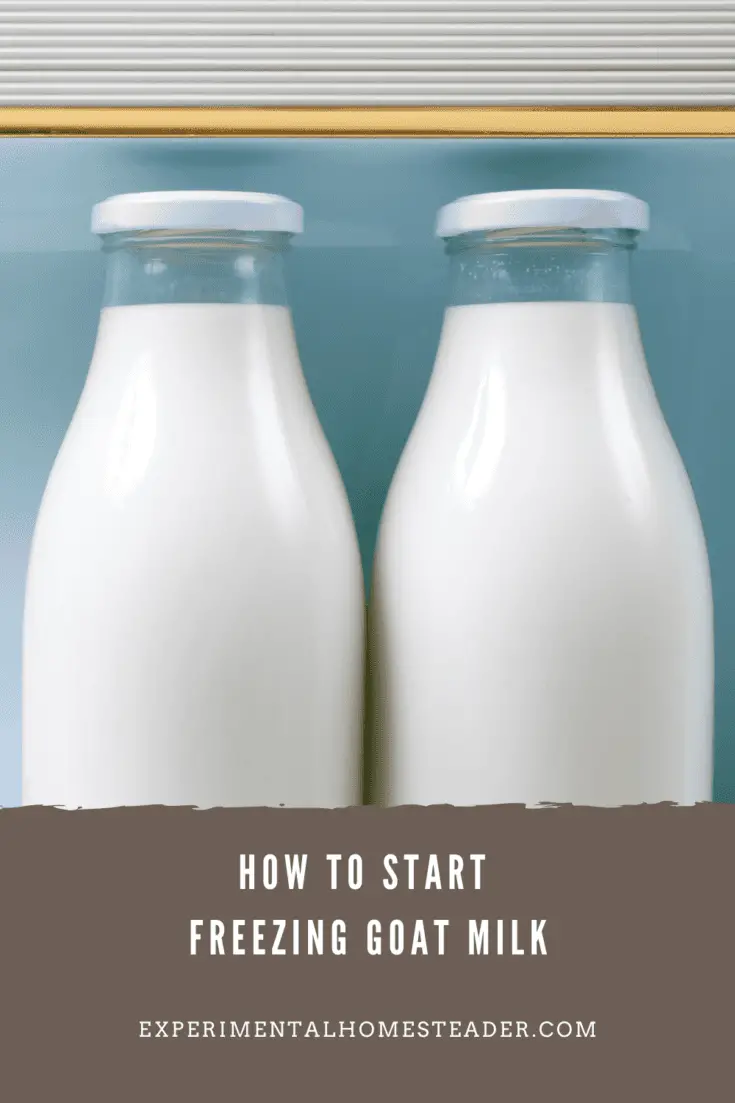 How To Start Freezing Goat Milk Experimental Homesteader