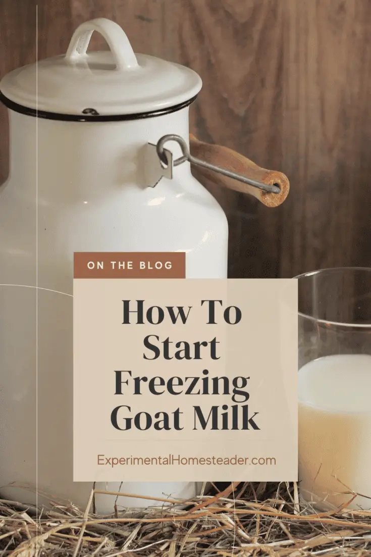How To Start Freezing Goat Milk Experimental Homesteader