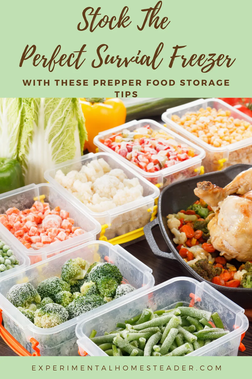 Stock The Perfect Survival Freezer With These Prepper Freezer Food ...