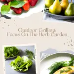 herbs and vegetables that go together in various images.
