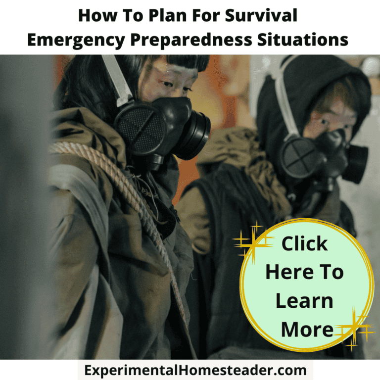 Emergency preparedness training for survival and homesteading safety.