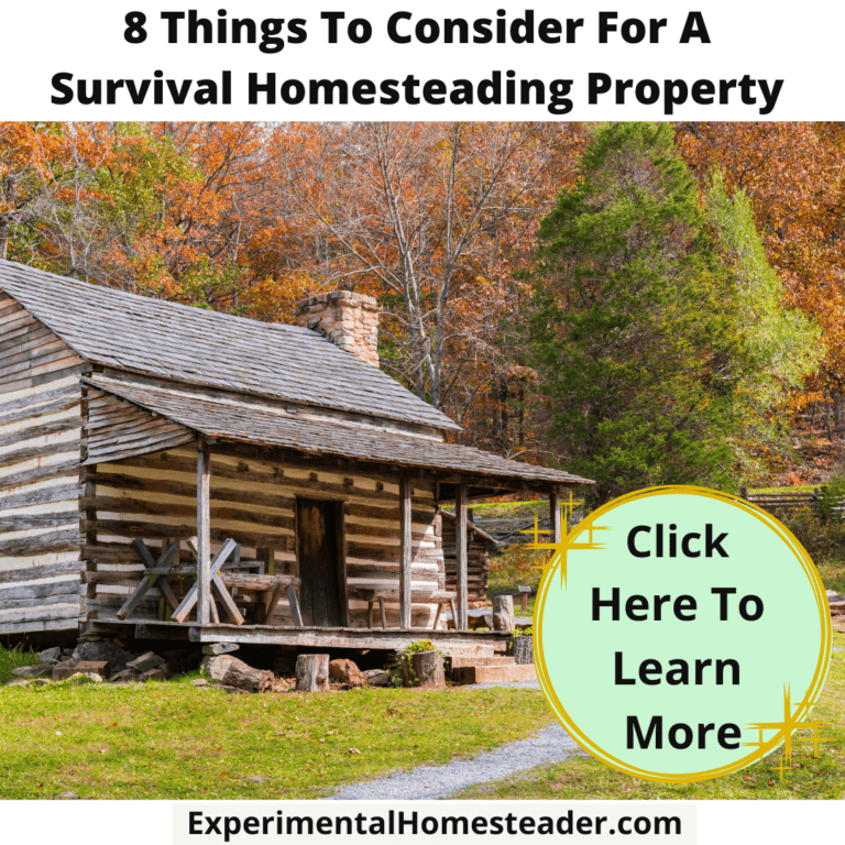 Traditional log cabin for survival homesteading in fall surrounded by colorful trees.