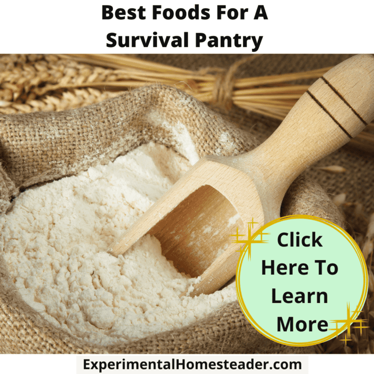 Flour in burlap sack with wooden scoop, best survival pantry foods, homemade flour storage.