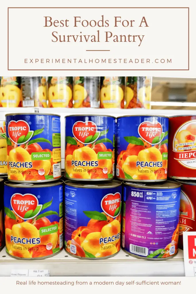 Best Foods For A Survival Pantry Experimental Homesteader