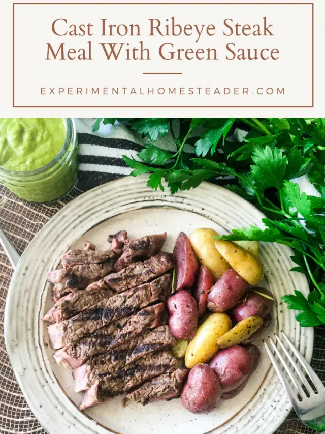 Cast Iron Ribeye Steak Meal WIth Green Sauce Story