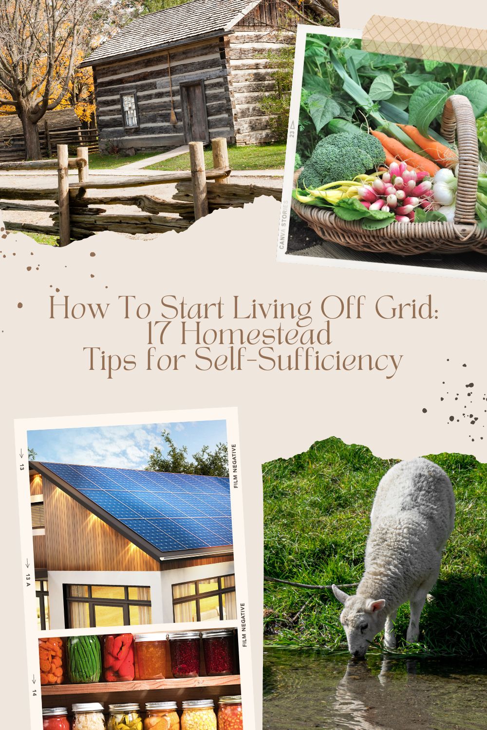 Various images of an off grid farmhouse, solar panels on a roof, a sheep drinking from a stream and fresh vegetables.