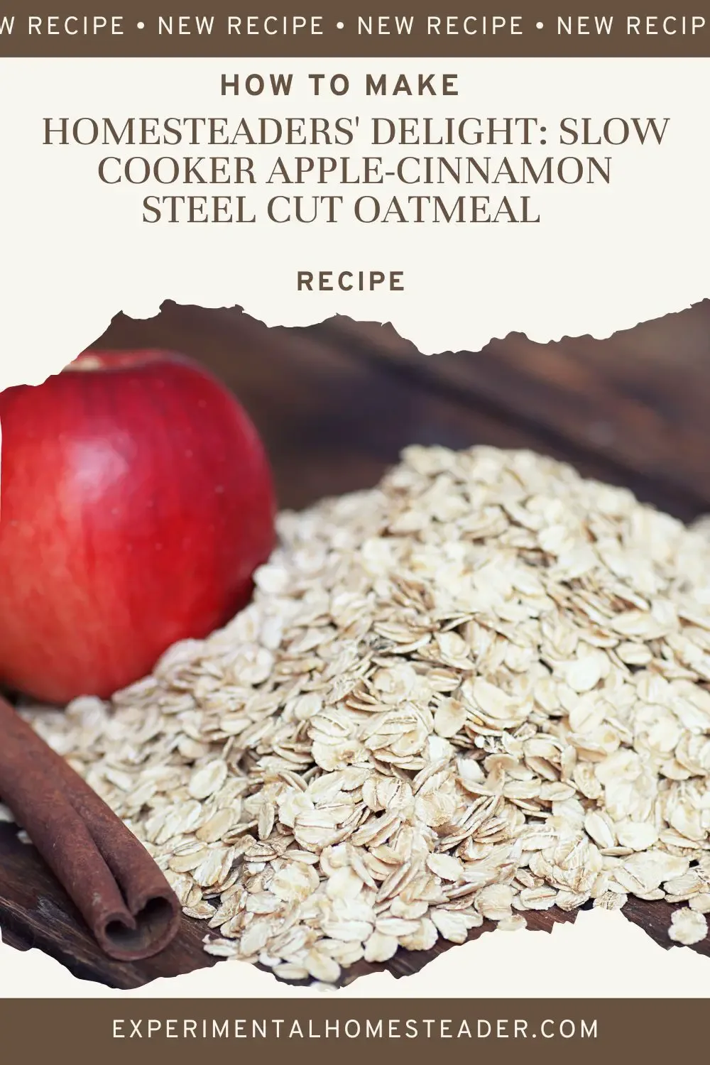 Apples, cinnamon sticks and uncooked oats on a table top.