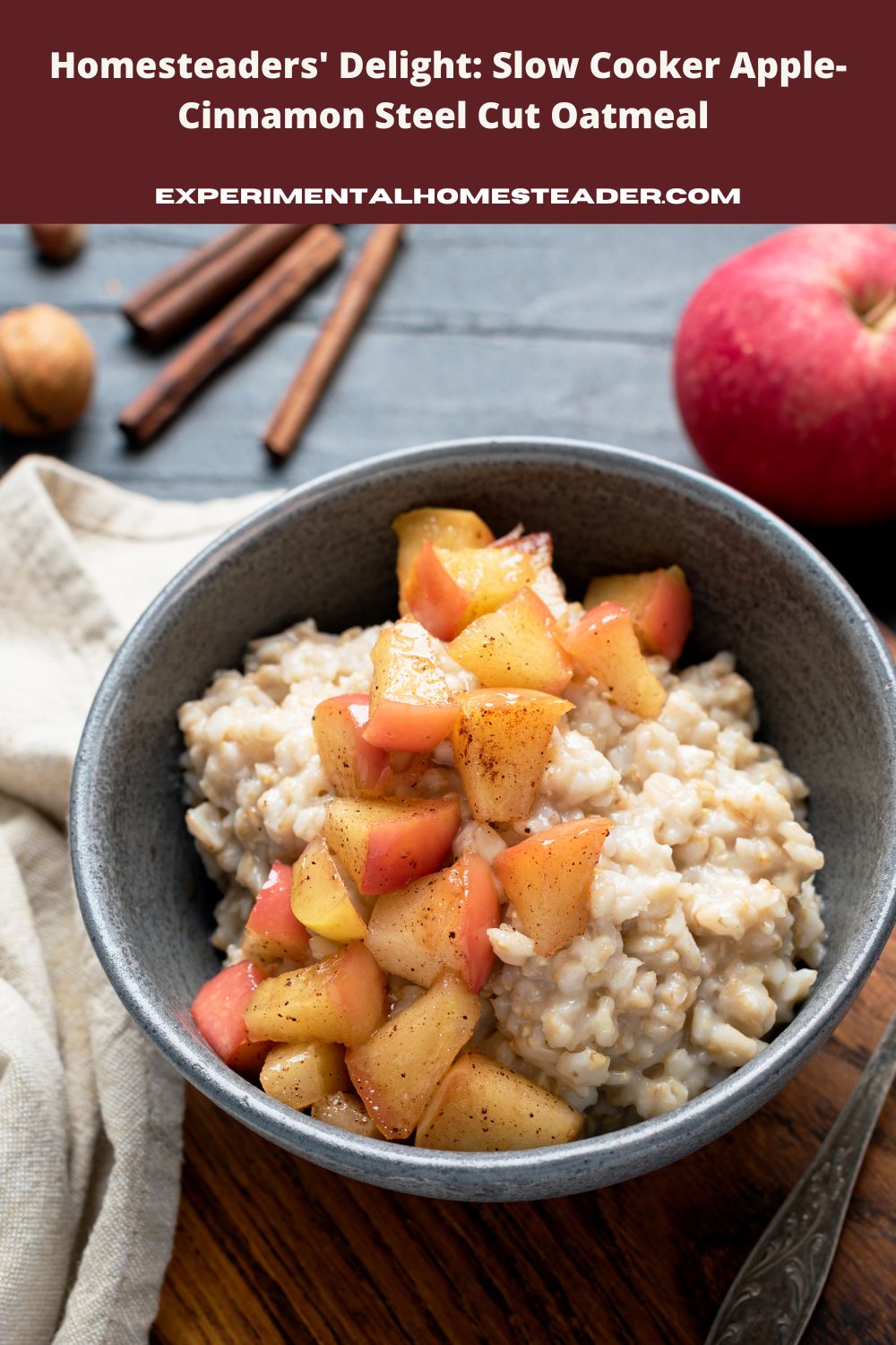 Diced apples sprinkled with cinnamon on top of oatmeal in a bowl.