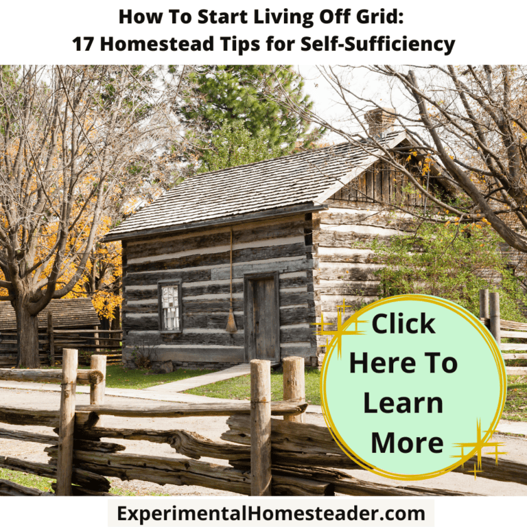 An off grid log cabin and a wooden fence around it.